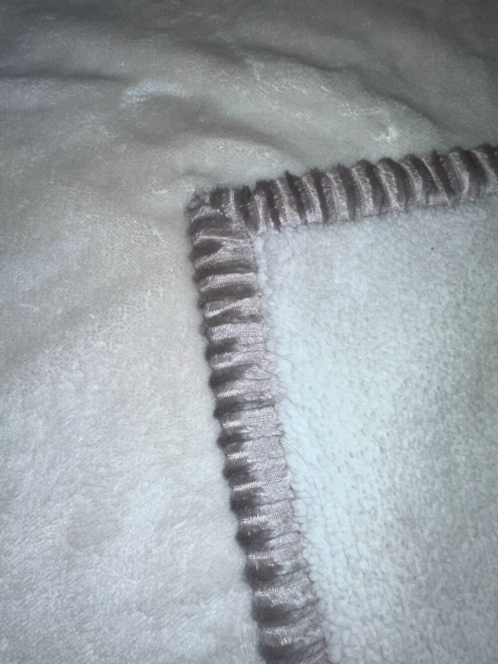Chick Pea Plush Beige Ivory Cream Brown Trim Baby Blanket 30x36 soft thick